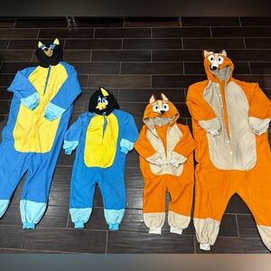 Family Bluey costume